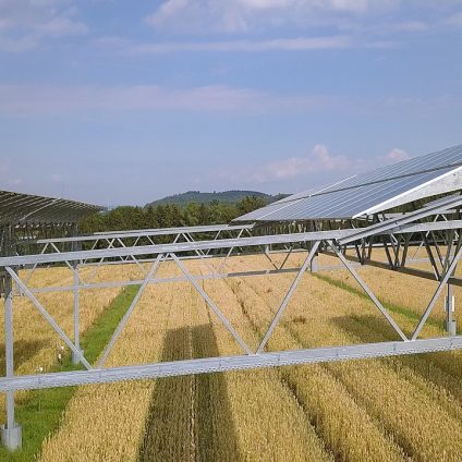 Rinnovabili • Impianti Fotovoltaici nell’Ambiente Agricolo