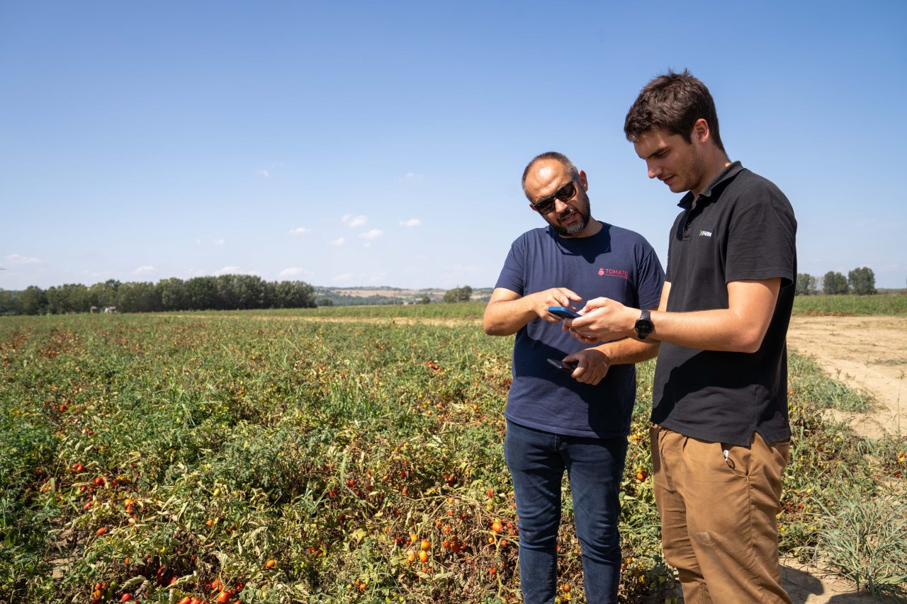 Rinnovabili • filiere agroalimentari