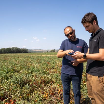 Rinnovabili • filiere agroalimentari