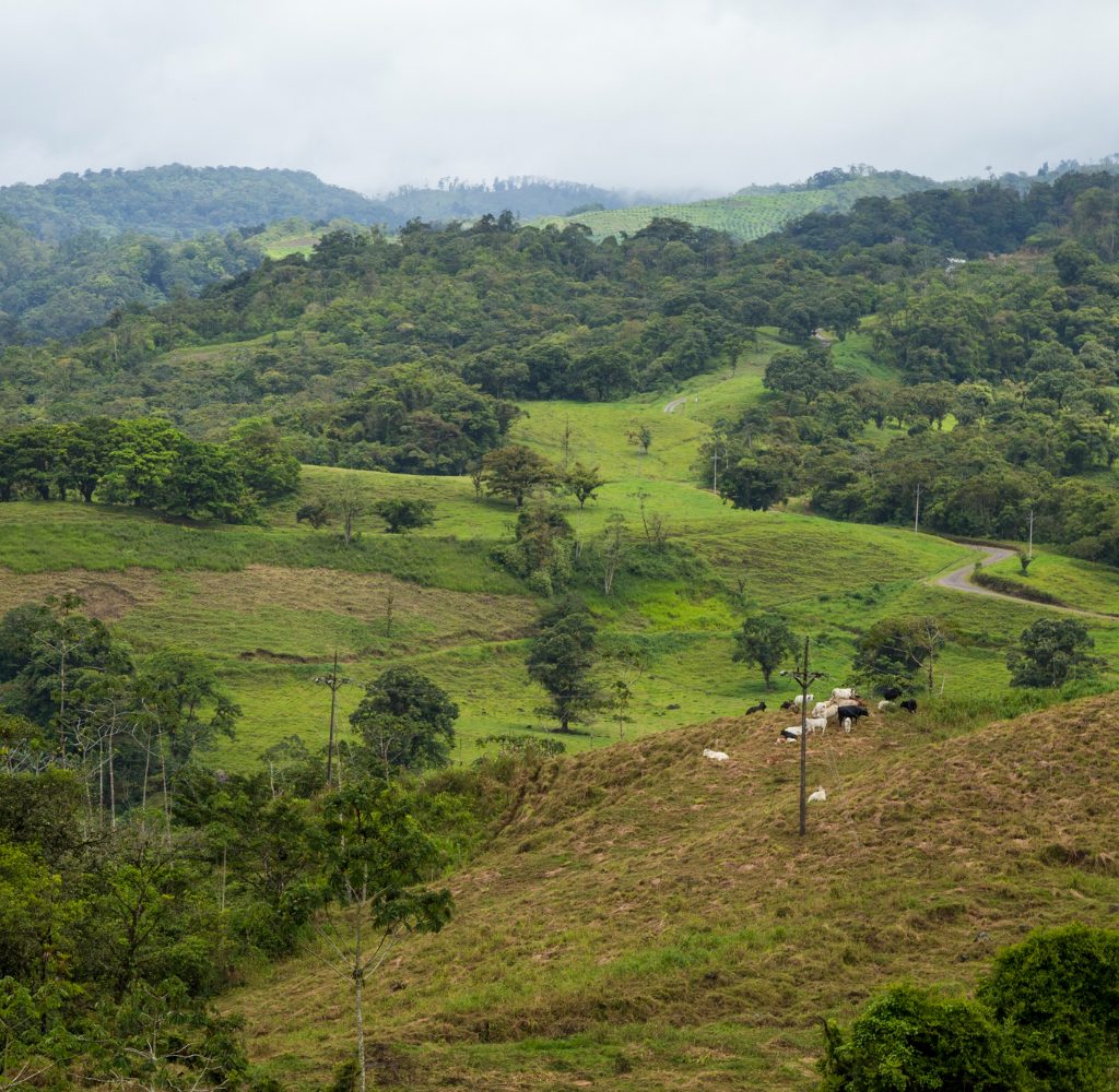 Smart city in Sierra Leone