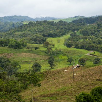 Rinnovabili • Smart city in Sierra Leone