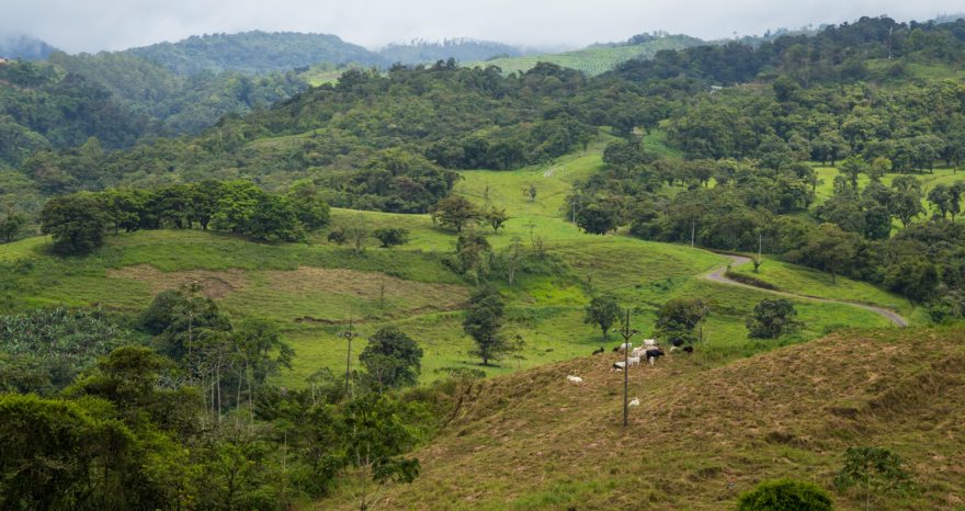 Rinnovabili • Smart city in Sierra Leone