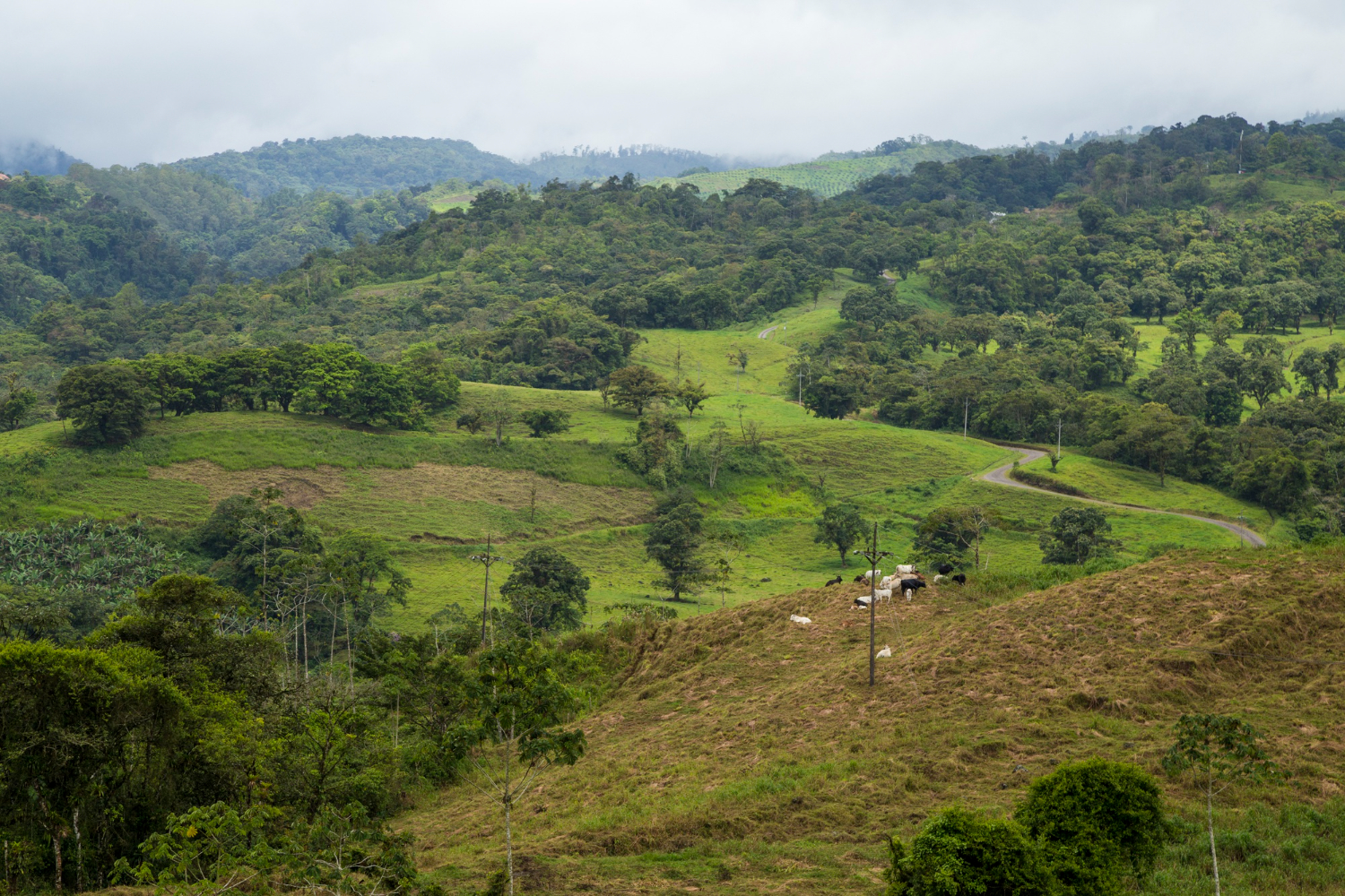 Smart city in Sierra Leone