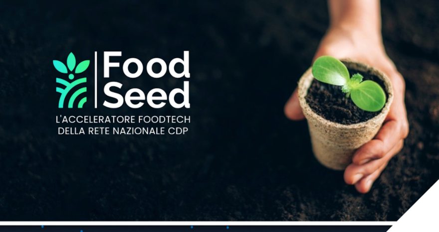 Rinnovabili • FoodSeed