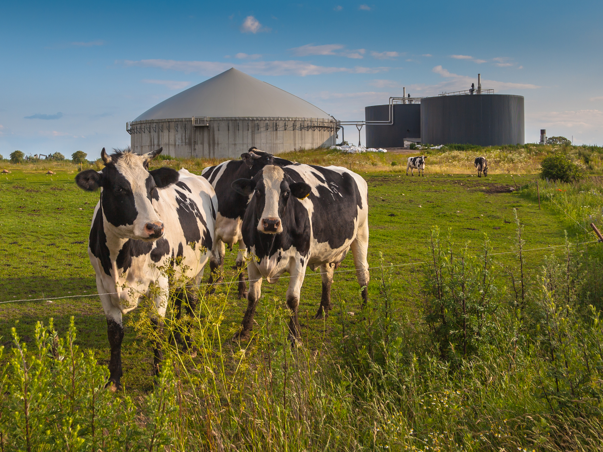 Prezzi minimi garantiti per gli impianti biogas