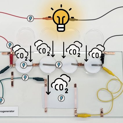 Rinnovabili • Produrre elettricità dalla CO2