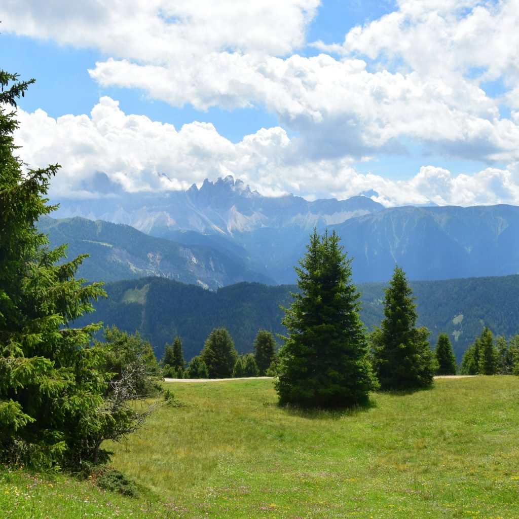 Agroforestazione: in montagna enorme potenziale sequestro CO2