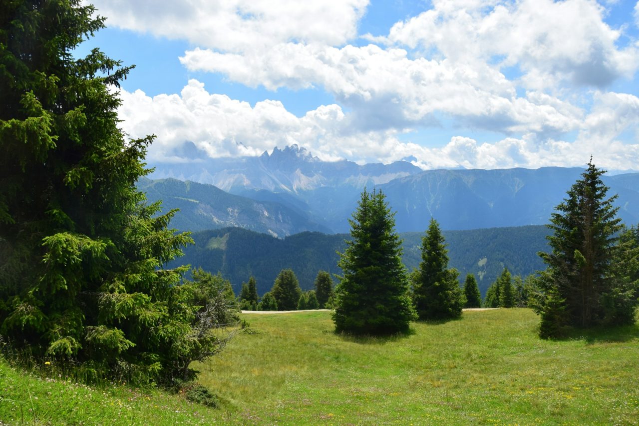 Rinnovabili • Agroforestazione: in montagna enorme potenziale sequestro CO2