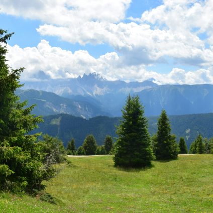 Rinnovabili • Agroforestazione: in montagna enorme potenziale sequestro CO2