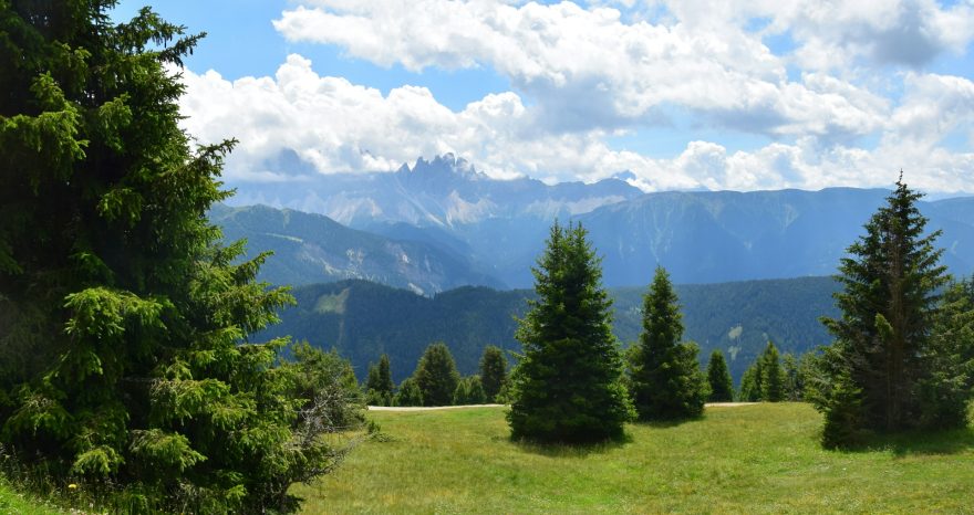 Rinnovabili • Agroforestazione: in montagna enorme potenziale sequestro CO2