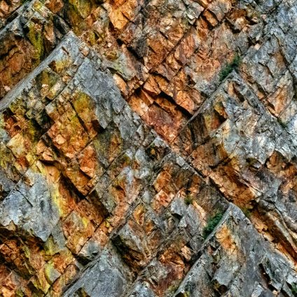 Rinnovabili • Antropocene: fallisce il tentativo di riconoscerlo come era geologica