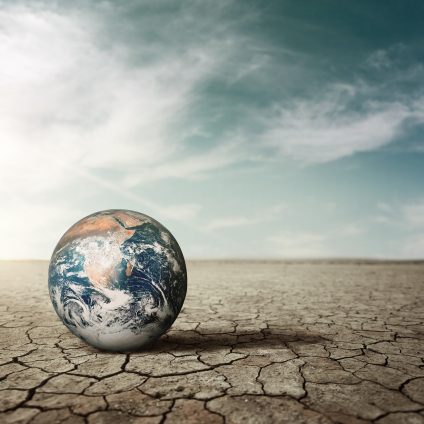 Rinnovabili • Piante e riscaldamento globale