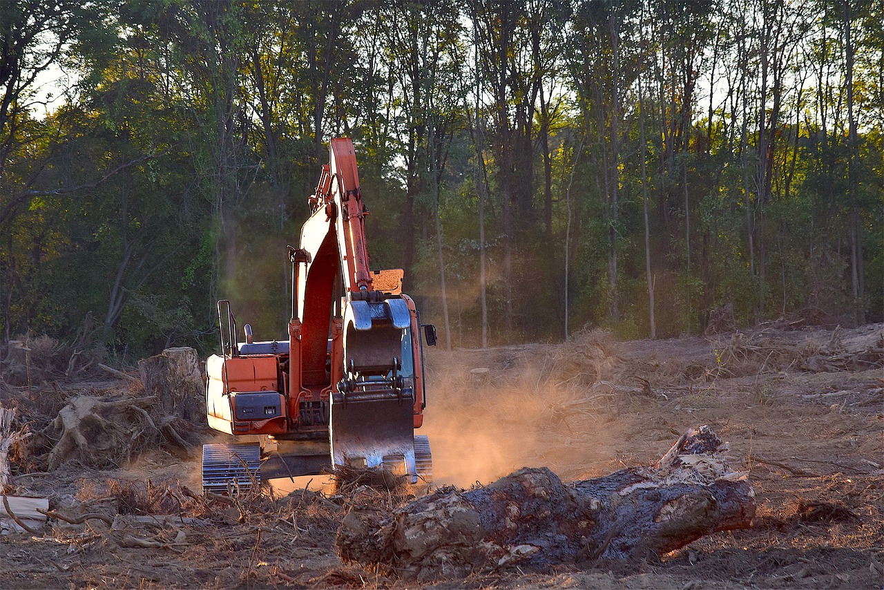 Regolamento Deforestazione