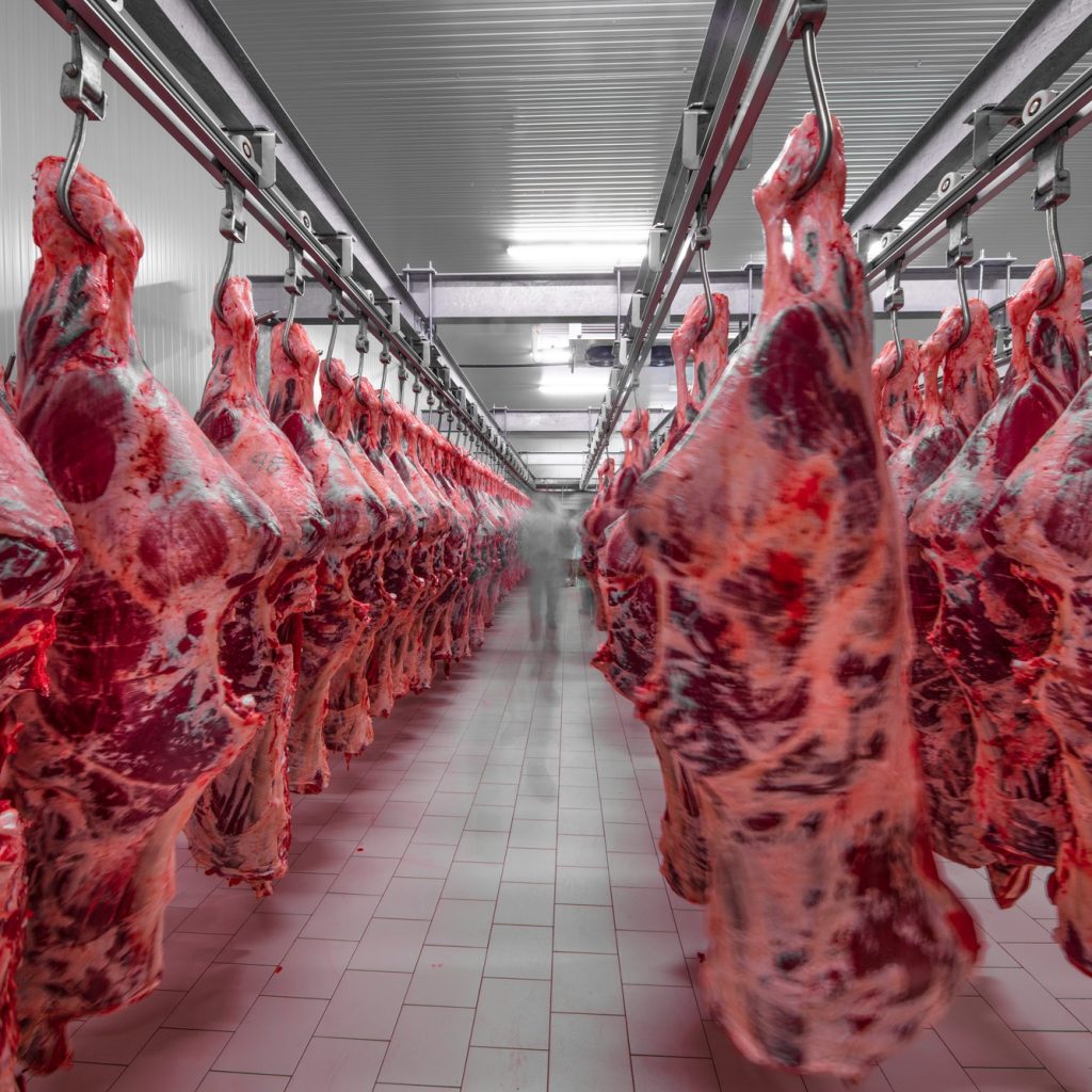 Finanziamenti industria carne: +15% in 4 anni, trend insostenibile