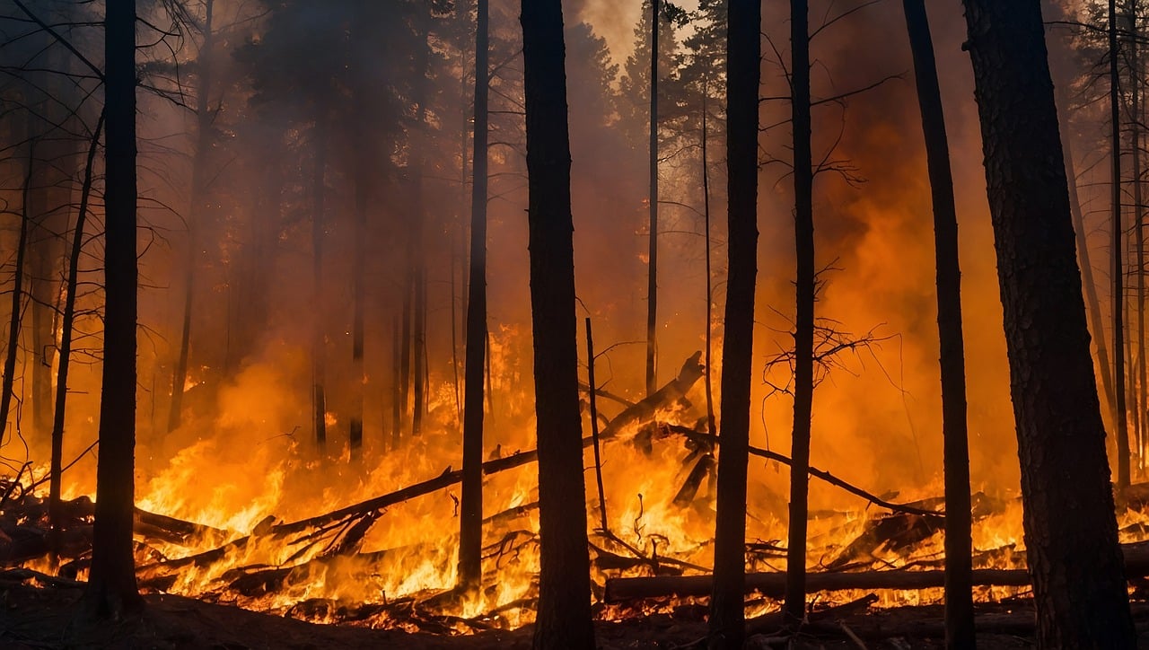 Rinnovabili • aumenta il rischio di incendi