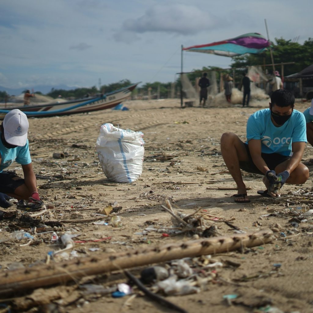 inquinamento da microplastica