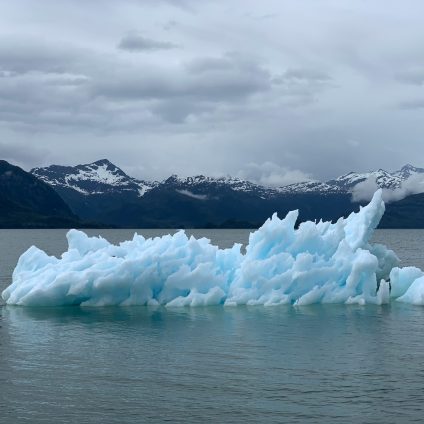 Rinnovabili • Il più grosso problema del mondo? Siamo noi