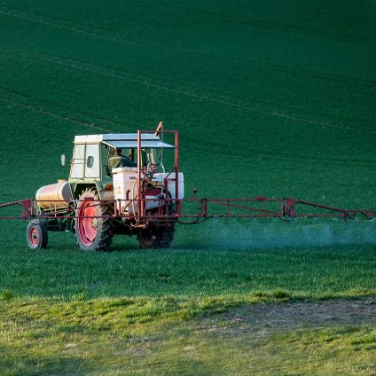 Rinnovabili • residui di pesticidi negli alimenti