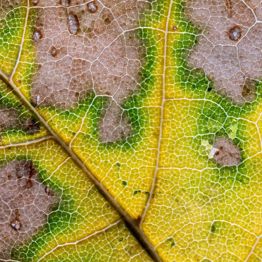 Piani transizione ecologica: solo il 20% delle aziende UE fa sul serio