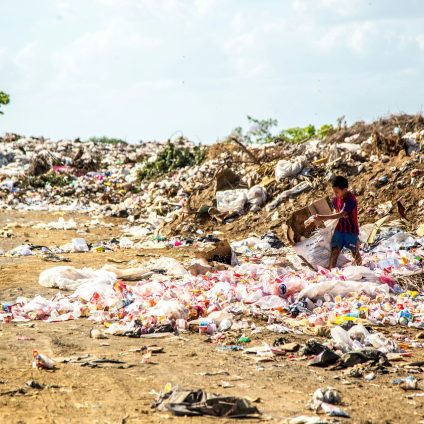 Rinnovabili • raccolta e riciclo dei rifiuti