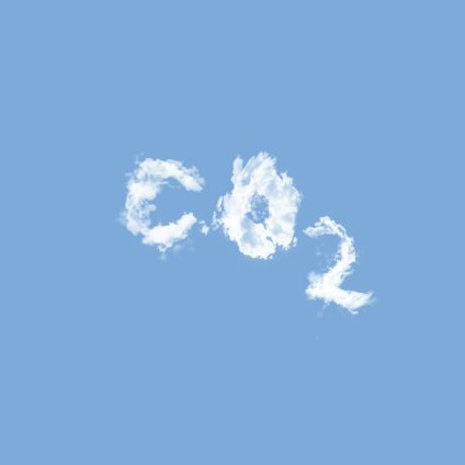 Rinnovabili • Rimozione CO2: serve una Banca centrale europea del carbonio