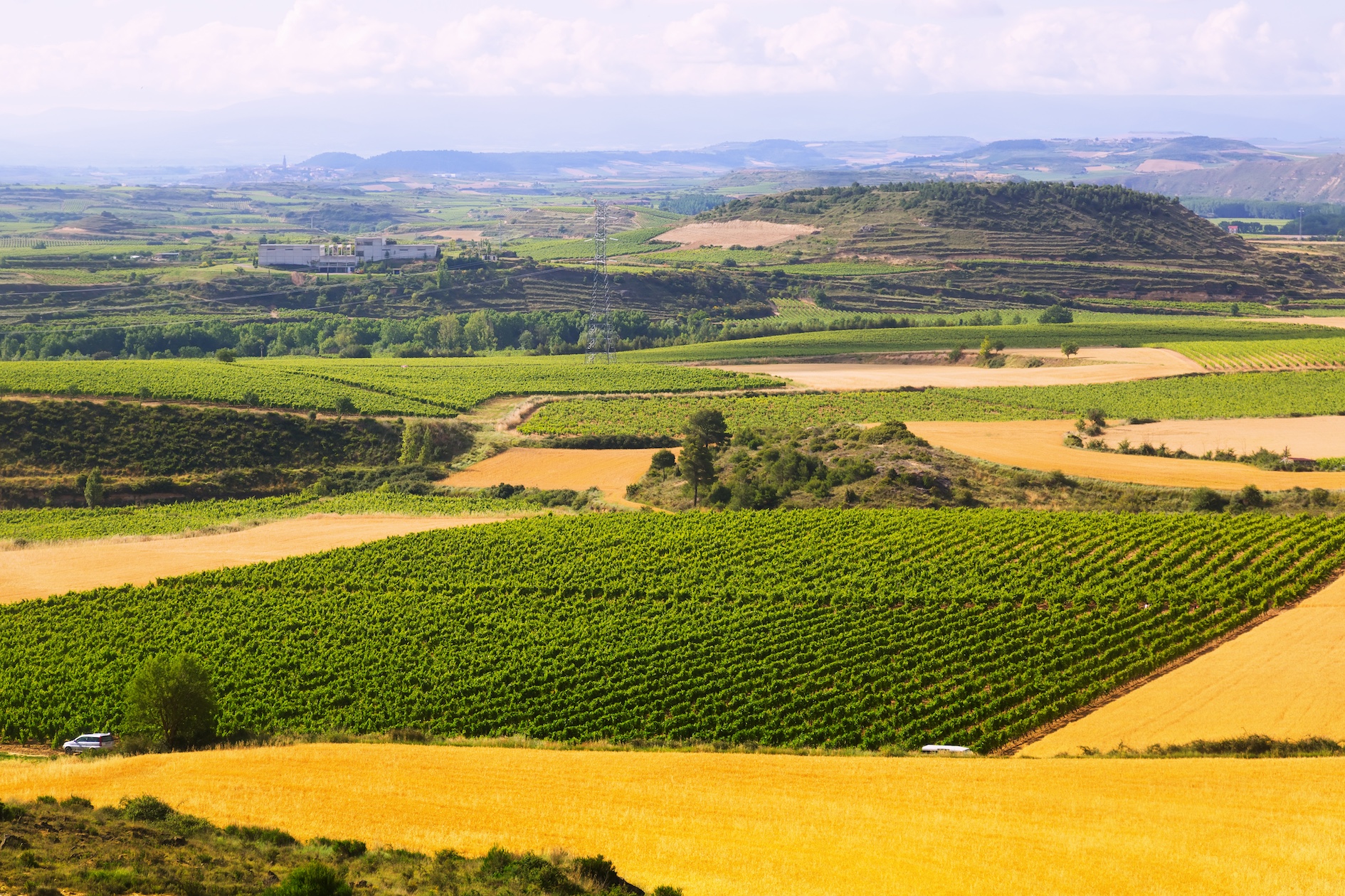 francia agricoltura