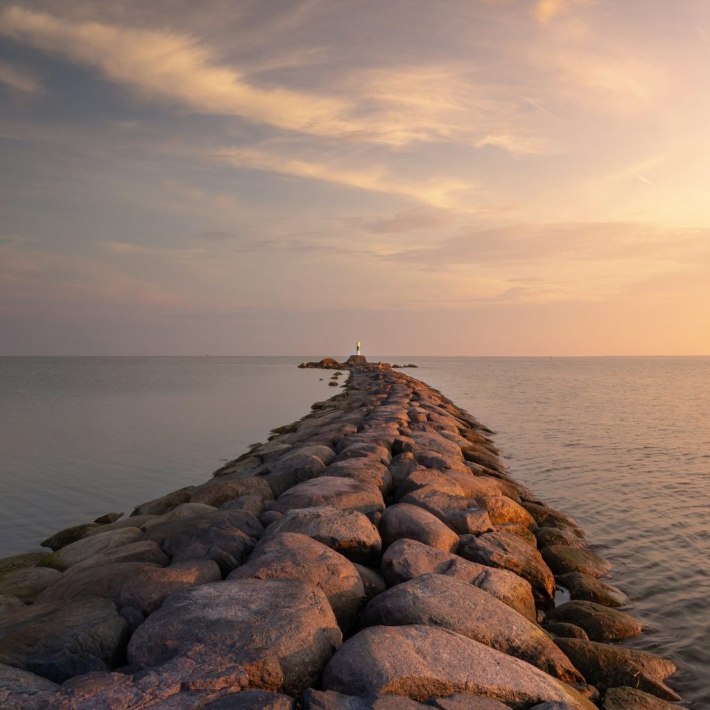 Specie invasive Mediterraneo: lo colonizzeranno tutto in 80 anni