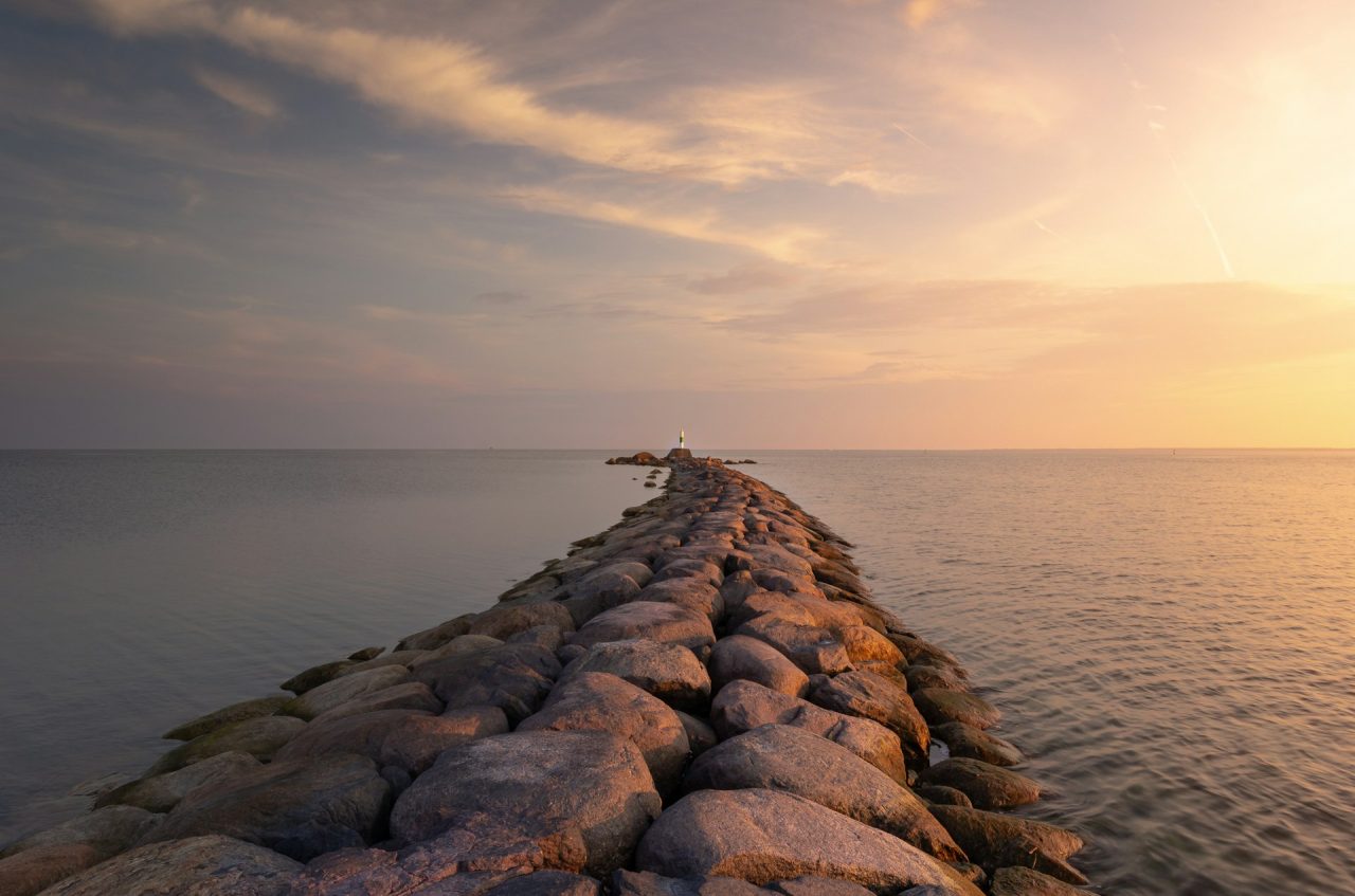 Rinnovabili • Specie invasive Mediterraneo: lo colonizzeranno tutto in 80 anni