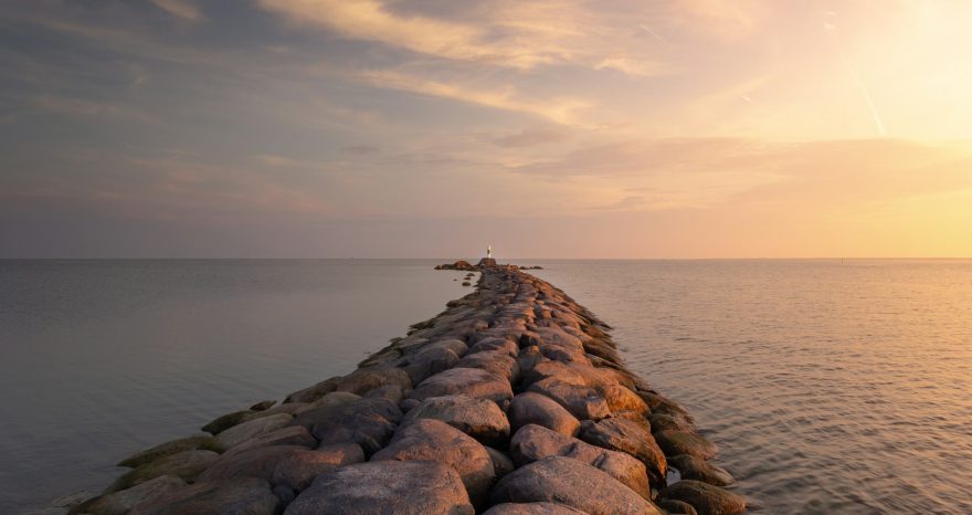 Rinnovabili • Specie invasive Mediterraneo: lo colonizzeranno tutto in 80 anni