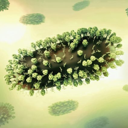 Rinnovabili • Virus e crisi climatica: negli oceani, il problema diventa la soluzione