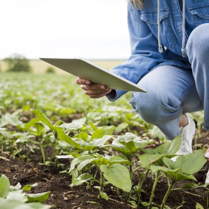 Rinnovabili • Verso una nuova agricoltura?