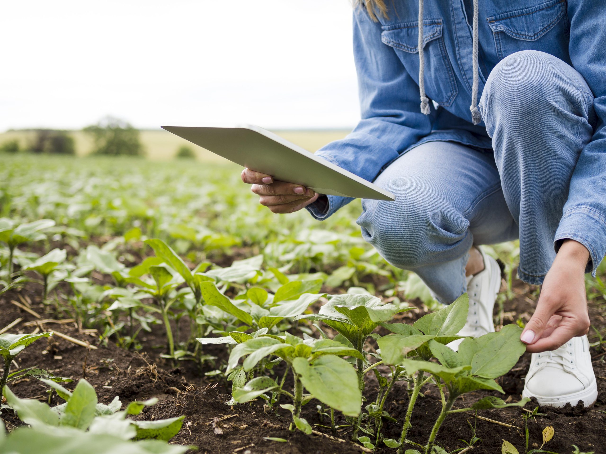 Verso una nuova agricoltura?