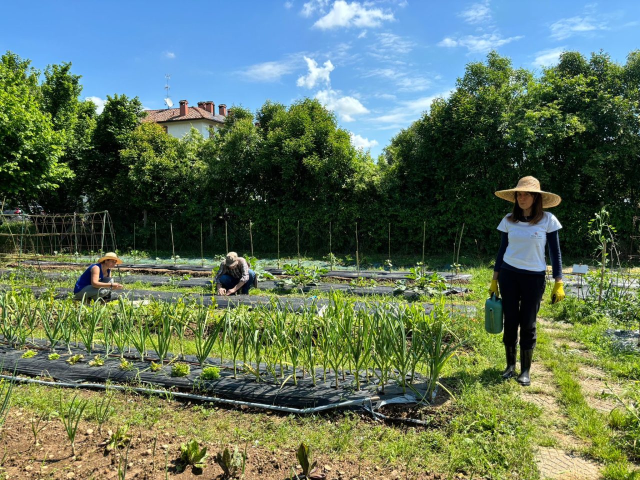 Rinnovabili • Orti Slow Food di comunità