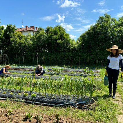 Rinnovabili • Orti Slow Food di comunità