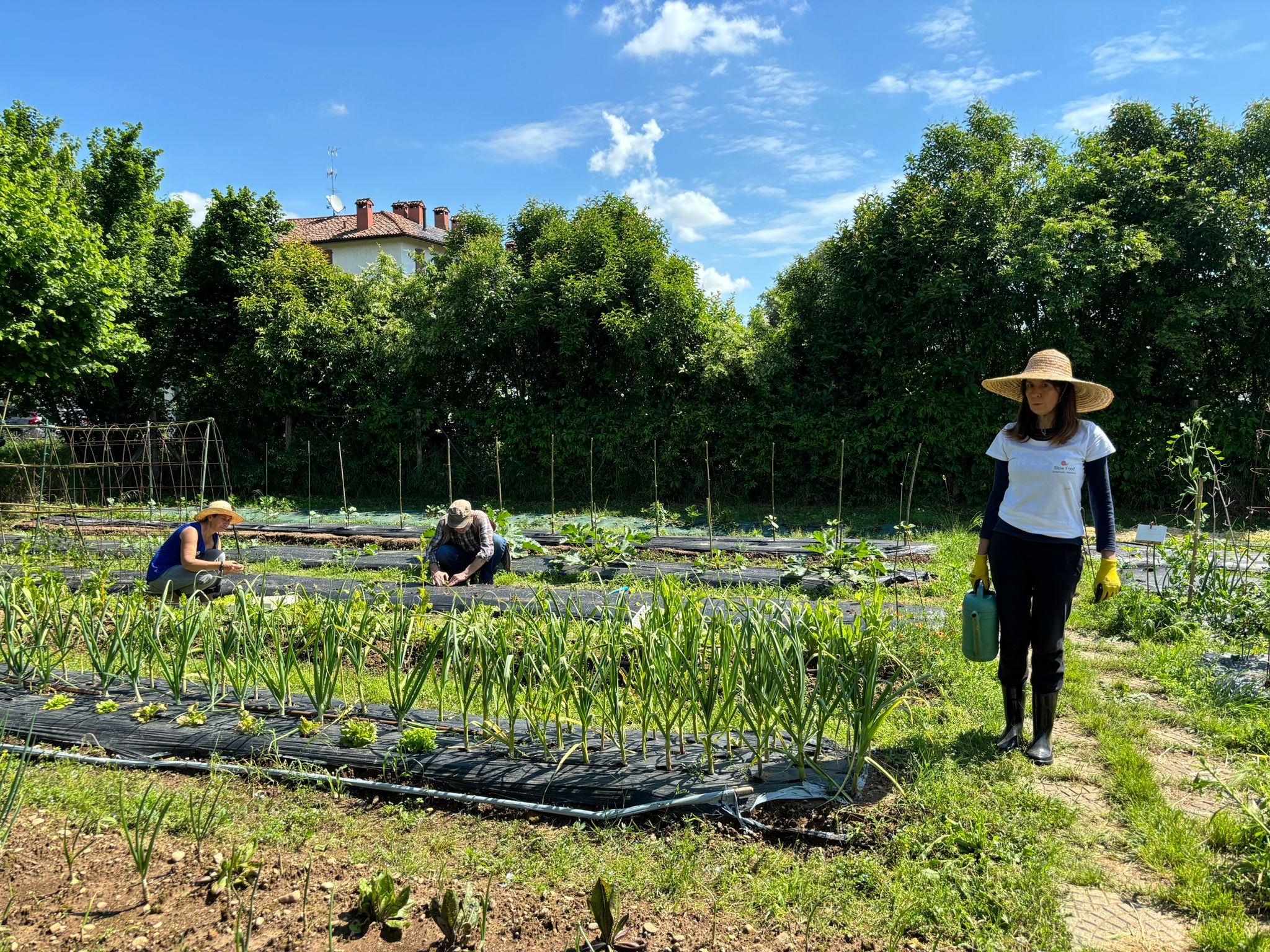 Orti Slow Food di comunità