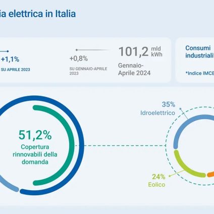 Rinnovabili • domanda elettrica