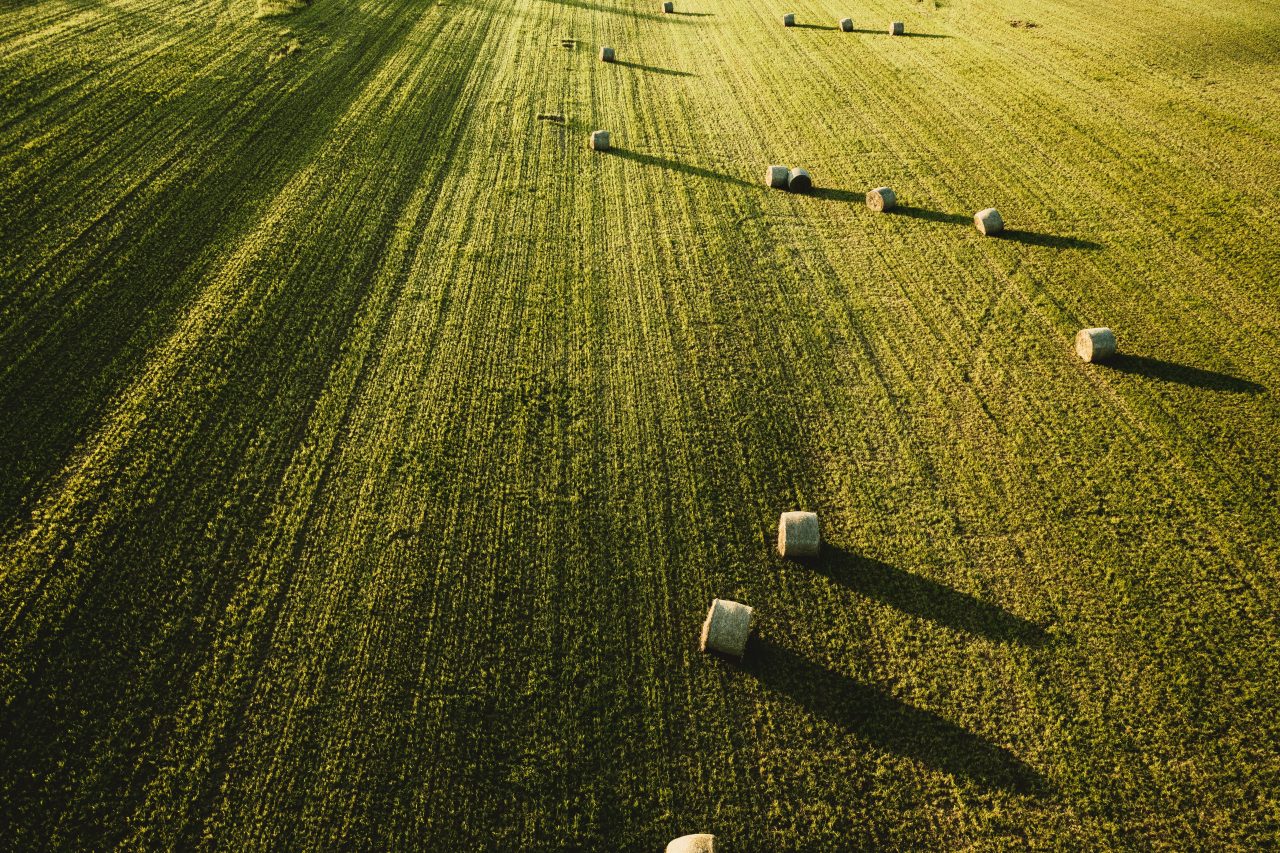 Rinnovabili • Politiche agroambientali