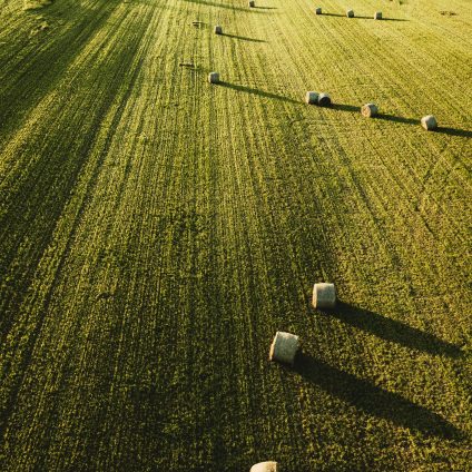 Rinnovabili • Politiche agroambientali