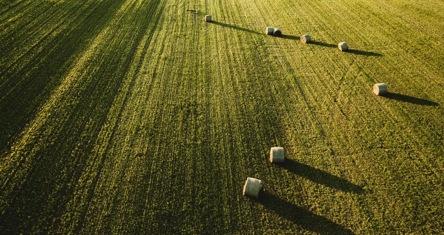 Rinnovabili • Politiche agroambientali