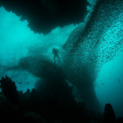 Rinnovabili • microplastiche nell'oceano