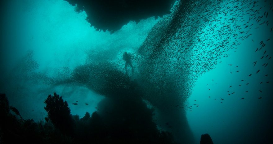 Rinnovabili • microplastiche nell'oceano