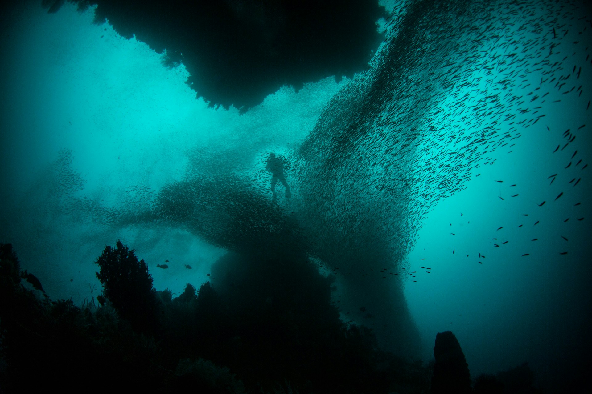 microplastiche nell'oceano