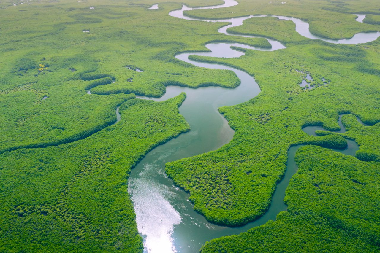 Rinnovabili • Punto di non ritorno: 1/3 dell’Amazzonia è vicina al tipping point