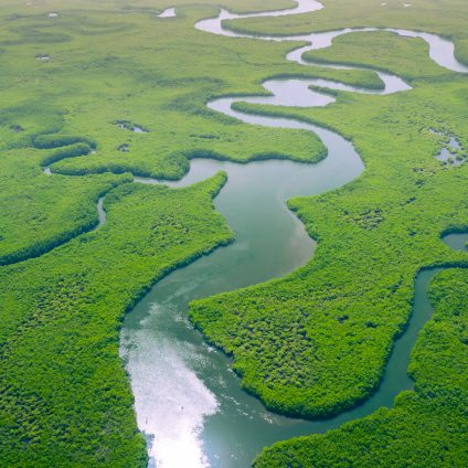 Rinnovabili • Punto di non ritorno: 1/3 dell’Amazzonia è vicina al tipping point