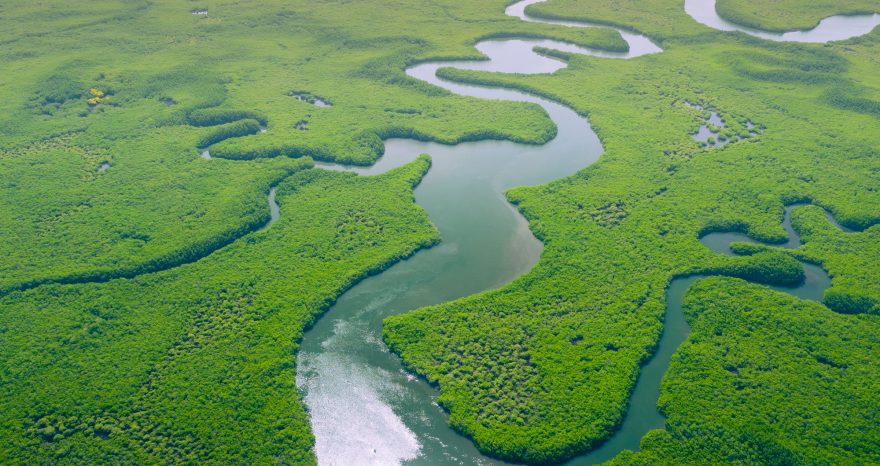 Rinnovabili • Punto di non ritorno: 1/3 dell’Amazzonia è vicina al tipping point