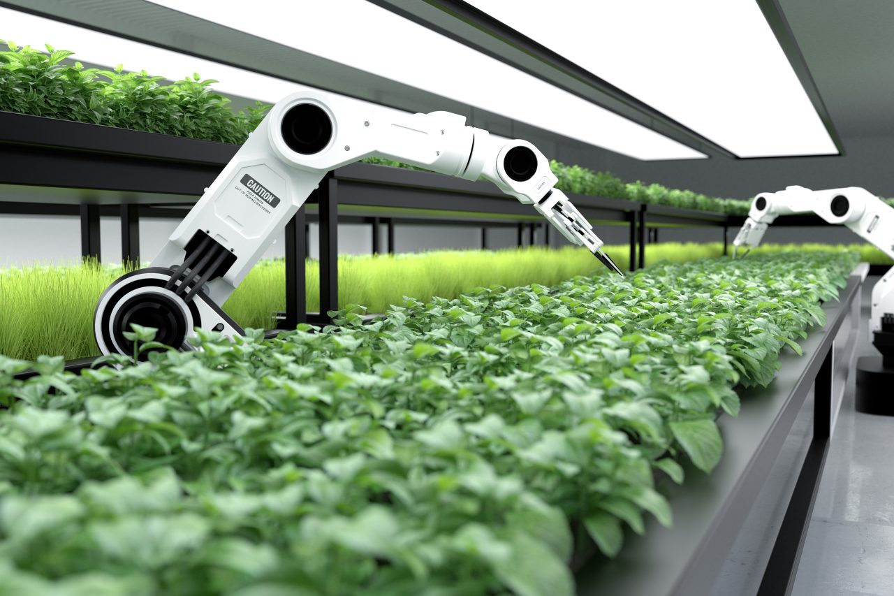 Rinnovabili • Robotica agricola