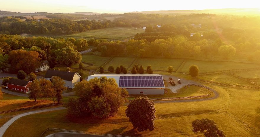 Rinnovabili • Capacità fotovoltaica italiana