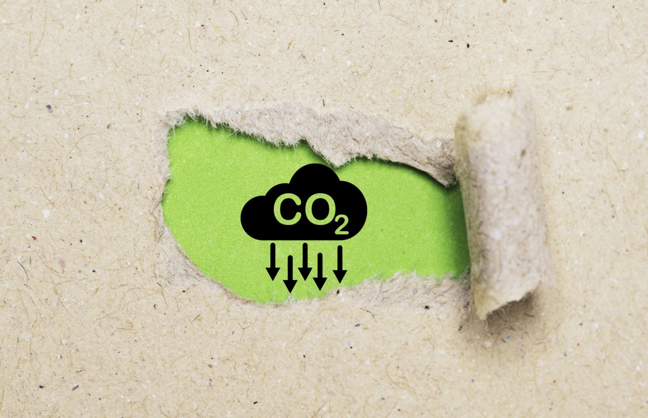 Rinnovabili • Tecnologie rimozione CO2: rischiamo un gap da 3,2 GtCO2