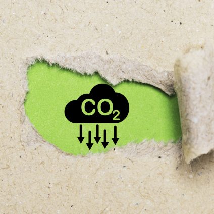 Rinnovabili • Tecnologie rimozione CO2: rischiamo un gap da 3,2 GtCO2