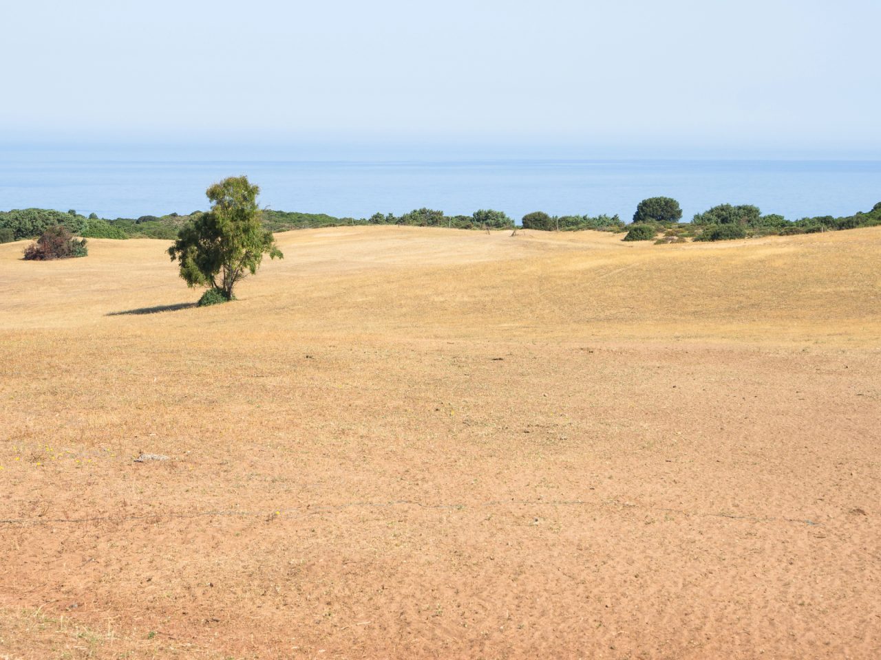 Rinnovabili • Giornata mondiale contro desertificazione siccità 2024: 18% dell’Italia a rischio